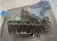 1232543 Коллектор впускной Ford Mondeo 3 2000-2007 20924233 #3