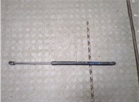 42726523 Амортизатор крышки багажника Chevrolet Trailblazer 2019- 20925640 #1