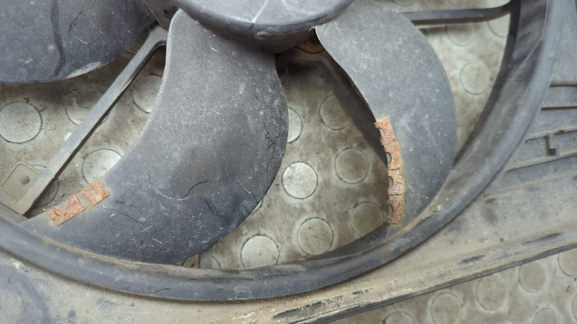 Вентилятор радиатора