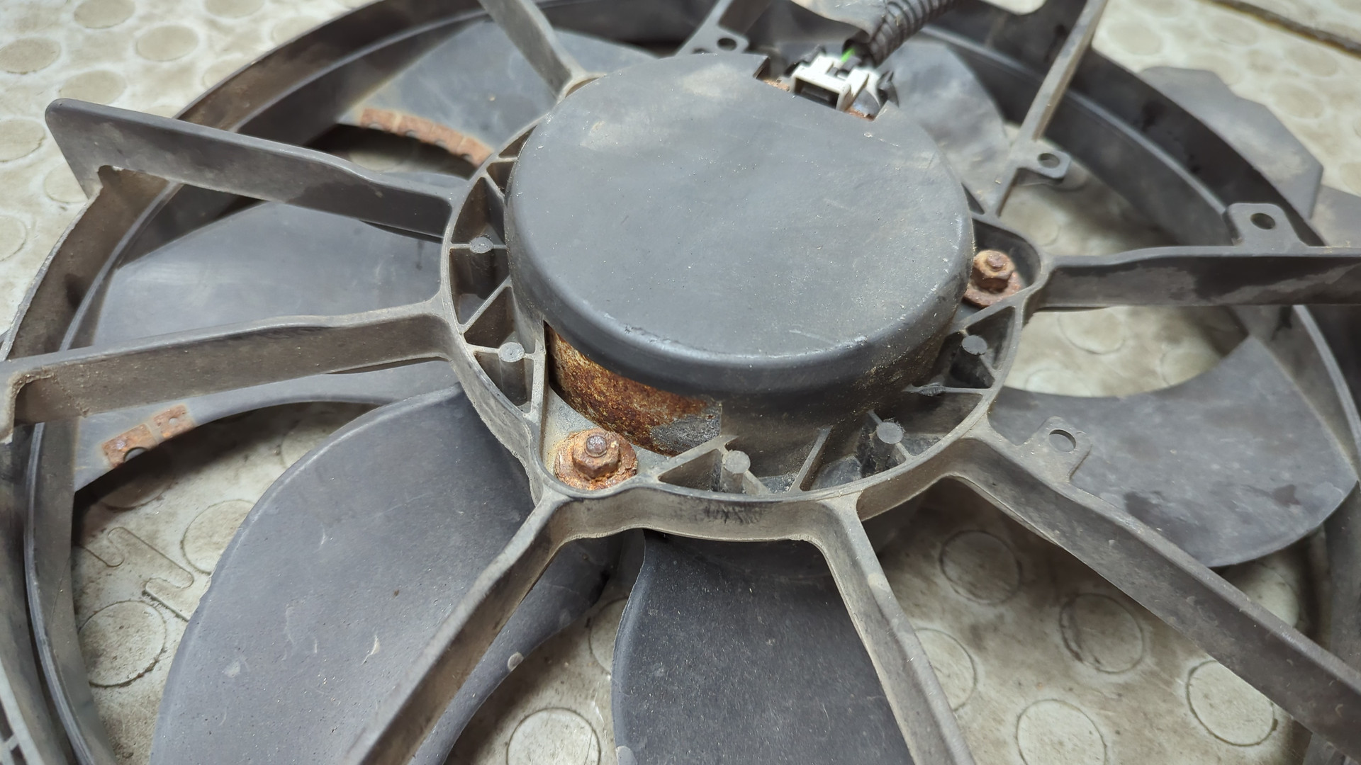 Вентилятор радиатора