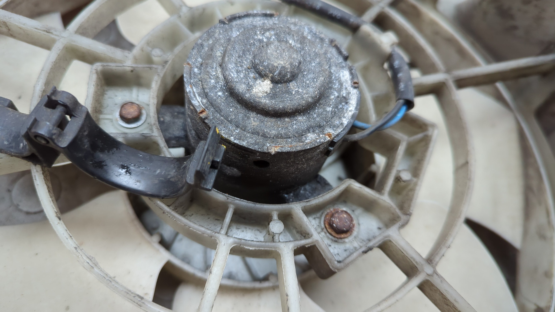 Вентилятор радиатора