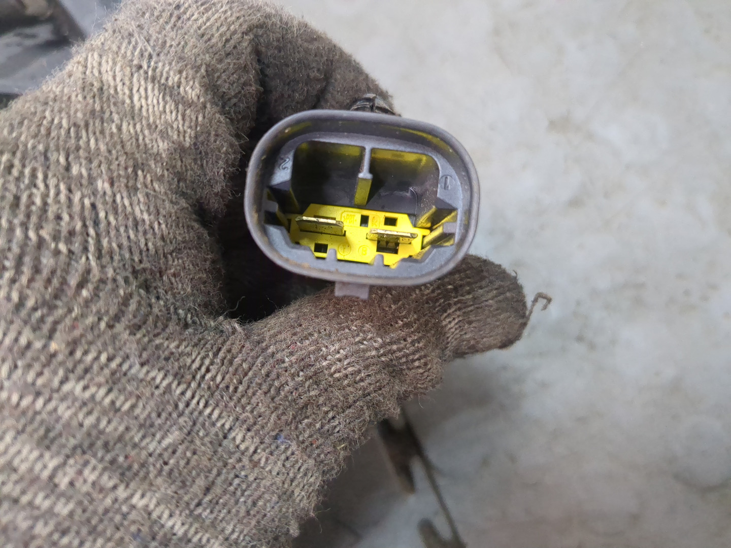 Вентилятор радиатора