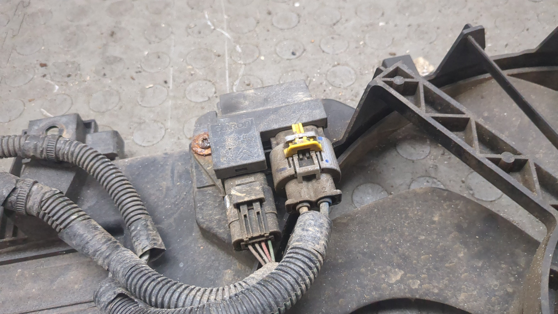 Вентилятор радиатора