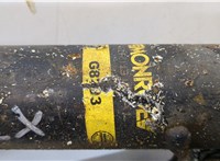  Амортизатор подвески BMW 3 E90, E91, E92, E93 2005-2012 20930259 #4