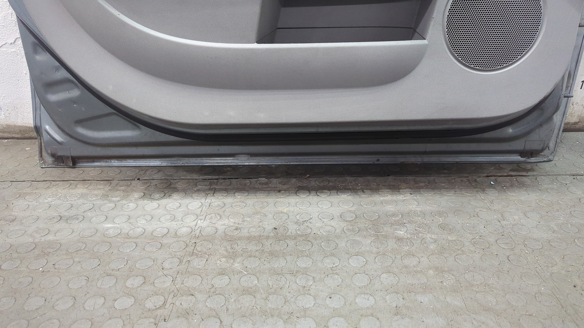 Дверь передняя левая