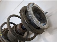 31316750785, 6750785, 31331093066, 1093066 Амортизатор подвески BMW 3 E46 1998-2006 20932116 #2