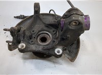 1K0407621F, 3C0407253F, 1K0615311F Ступица (кулак, цапфа) Volkswagen Passat CC 2008-2012 20932212 #2