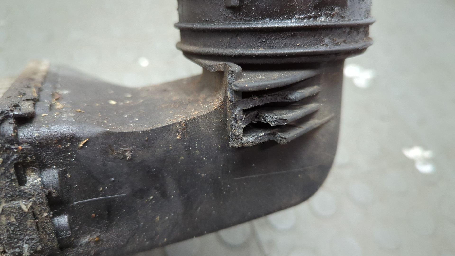 Интеркулер