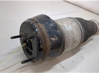 A1663204966 Амортизатор подвески Mercedes GLS X166 2015-2019 20932506 #2