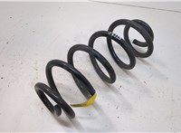 42757298 Пружина подвески Chevrolet Bolt EUV 2021-2023 20932534 #1