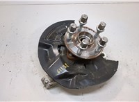 13524087 Ступица (кулак, цапфа) Chevrolet Bolt EUV 2021-2023 20932567 #1