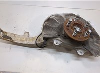 A1663340206 Ступица (кулак, цапфа) Mercedes GLS X166 2015-2019 20932590 #1