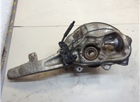 A1663340206 Ступица (кулак, цапфа) Mercedes GLS X166 2015-2019 20932645 #4