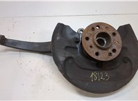 A1643560201 Ступица (кулак, цапфа) Mercedes GL X164 2006-2012 20932769 #1