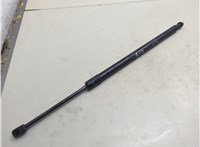 42841446 Амортизатор крышки багажника Chevrolet Bolt EUV 2021-2023 20933926 #1