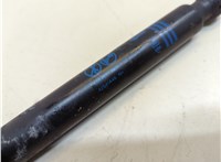 42841446 Амортизатор крышки багажника Chevrolet Bolt EUV 2021-2023 20933926 #2