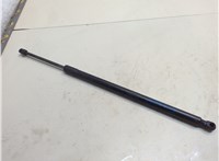 M1PZ78406A10B Амортизатор крышки багажника Ford Bronco Sport 2020-2024 20933930 #1