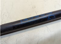 M1PZ78406A10B Амортизатор крышки багажника Ford Bronco Sport 2020-2024 20933930 #2