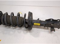 42781623 Амортизатор подвески Chevrolet Bolt EUV 2021-2023 20934853 #1