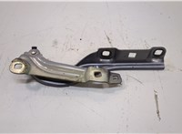 42692628 Петля капота Chevrolet Bolt EUV 2021-2023 20935112 #1