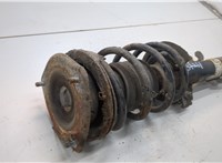 31336777190, 31316782209, 6777190, 6782209 Амортизатор подвески Mini Cooper (R56/R57) 2006-2013 20939105 #3