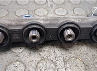  Рампа (рейка) топливная Renault Koleos 2008-2016 20939533 #3