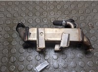  Охладитель отработанных газов Renault Koleos 2008-2016 20939536 #1