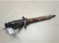 1633633, 0445110353 Форсунка топливная Ford Focus 2 2008-2011 20939560 #1