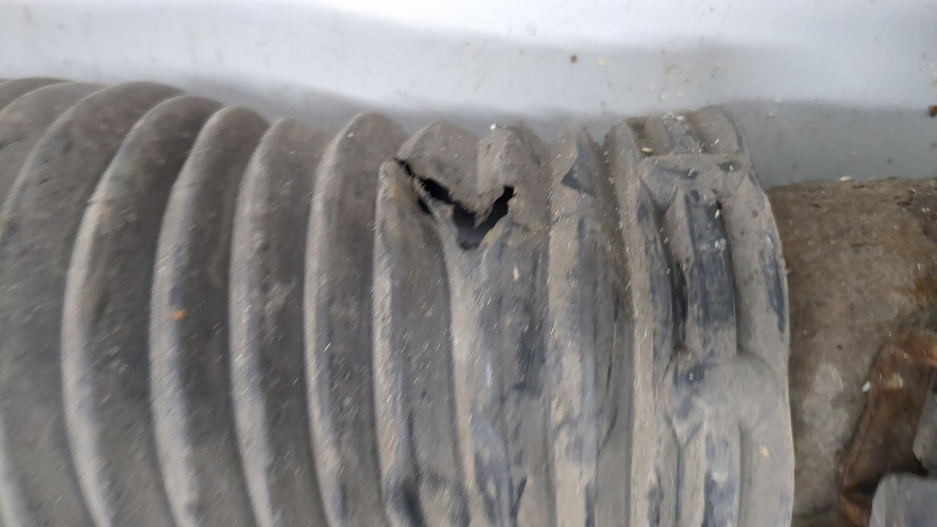 Амортизатор задний правый