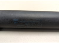 84321803 Амортизатор крышки багажника GMC Terrain 2017-2024 20941039 #2