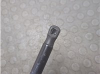  Амортизатор капота Alfa Romeo Stelvio 2016-2025 20947167 #3