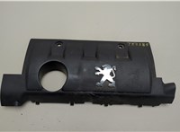 013789 Накладка декоративная на ДВС Peugeot 308 2007-2013 20950508 #1