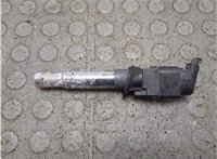 022905715E Катушка зажигания Volkswagen Atlas 2017-2025 20954525 #1