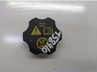 13502353 Пробка расширительного бачка Chevrolet Trax 2013-2016 20956333 #1