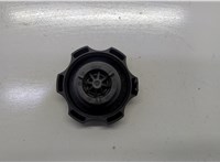 13502353 Пробка расширительного бачка Chevrolet Trax 2013-2016 20956333 #2