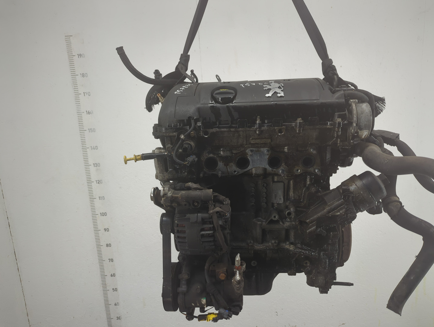 Двигатель (ДВС)