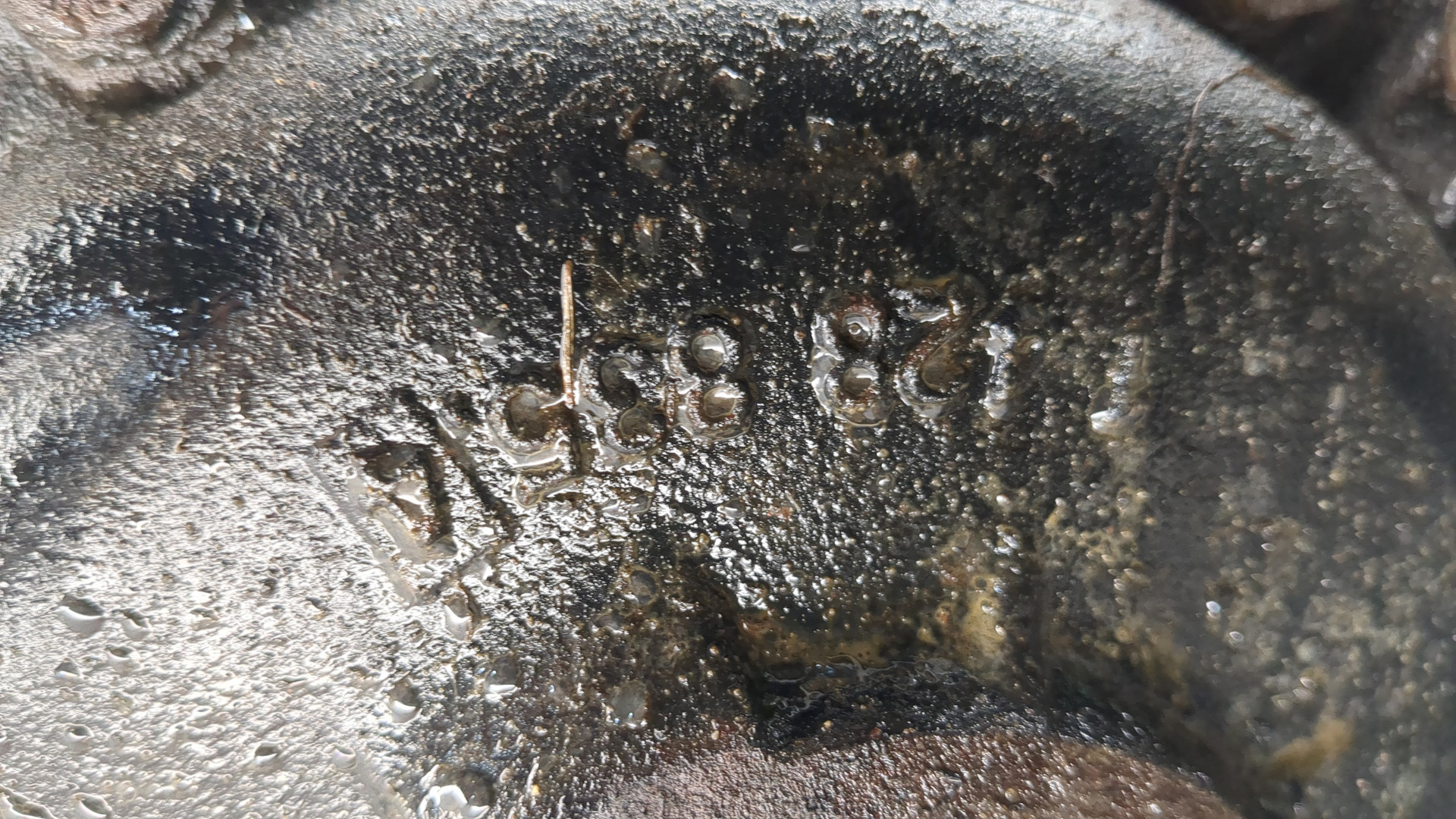 Редуктор переднего моста