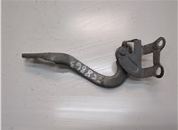 791292 Петля капота Peugeot 107 2005-2012 20961704 #1
