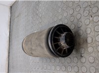 A1663200325 Пневмоподушка Mercedes ML W164 2005-2011 20962970 #5