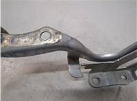  Петля капота Toyota RAV 4 2012-2019 20963208 #4