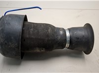 37126795013, 6795013 Пневмоподушка BMW X5 F15 2013-2018 20963506 #1