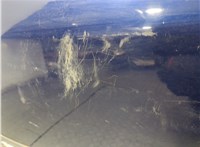 126135, 13122668, 93182974 Крышка (дверь) багажника Opel Astra H 2004-2010 20965024 #4