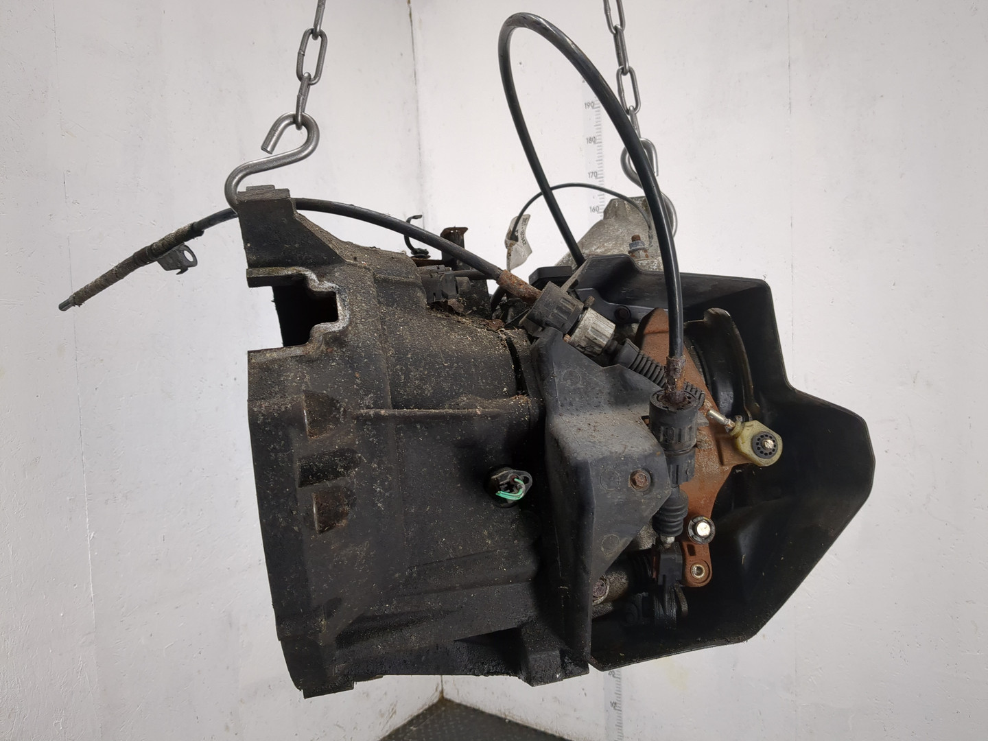 AP-0017419384 AP-0017419384