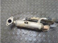 038131513J Охладитель отработанных газов Volkswagen Transporter 5 2003-2015 20971519 #3