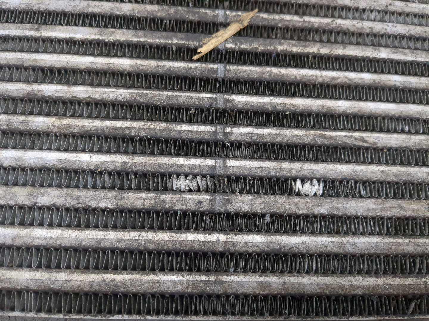 Интеркулер