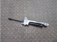 51247348917 Амортизатор крышки багажника Mini Clubman (F54) 2015-2024 20976748 #1