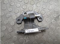 A9607220244 Петля двери Mercedes Actros MP4 2011-2022 20977981 #1