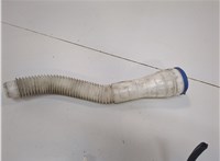  Бачок омывателя Peugeot 308 2007-2013 20978933 #5