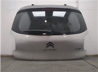  Крышка (дверь) багажника Citroen C3 2016-2024 20984888 #8
