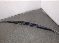 102577600 Накладка крышки багажника (двери) Tesla Model S 2012-2016 20987888 #1